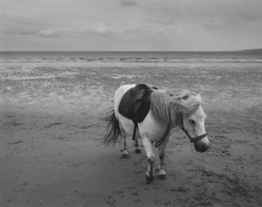 photography by Sheila Rock