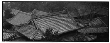 photography by Sheila Rock