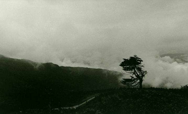 photography by Sheila Rock
