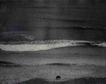 photography by Sheila Rock