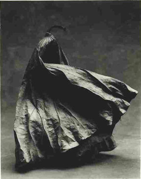photography by Sheila Rock