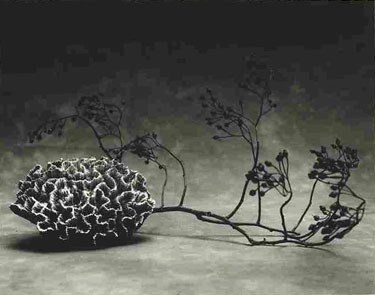 photography by Sheila Rock