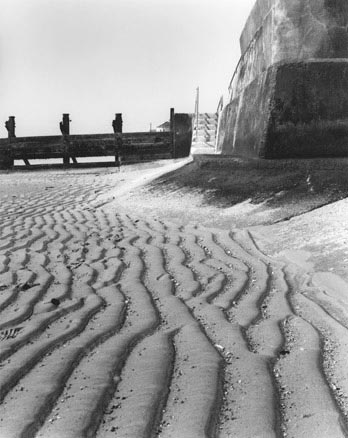 photography by Sheila Rock