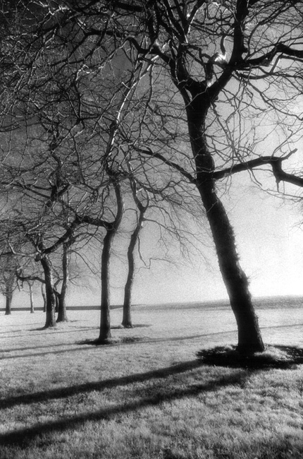 photography by Linda Rutenberg