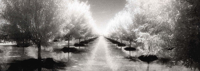 photography by Linda Rutenberg