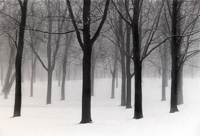 photography by Linda Rutenberg