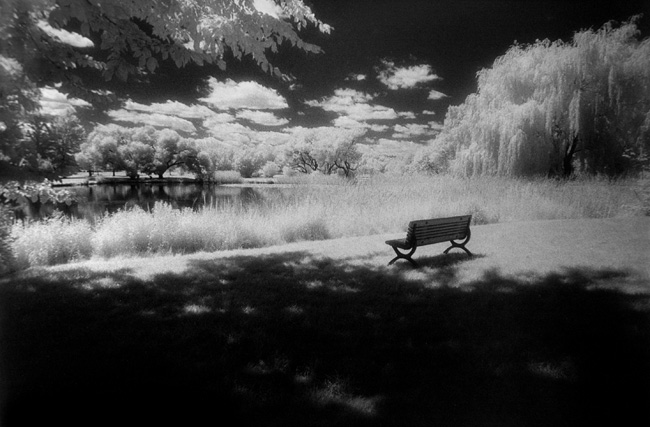 photography by Linda Rutenberg