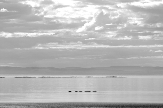 photography by Linda Rutenberg