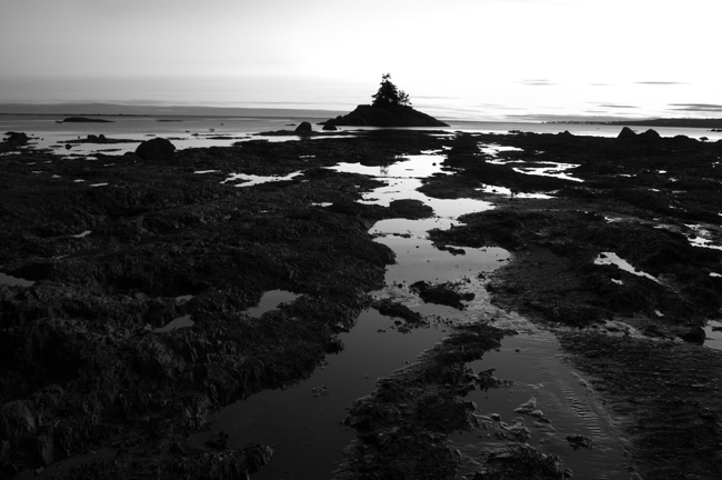 photography by Linda Rutenberg