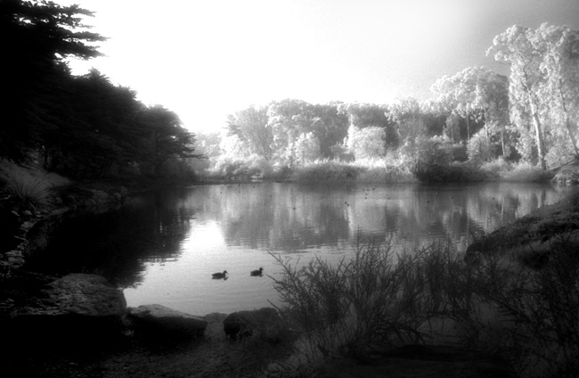 photography by Linda Rutenberg