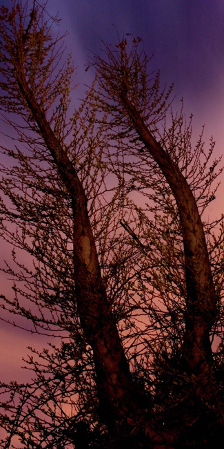 photography by Linda Rutenberg