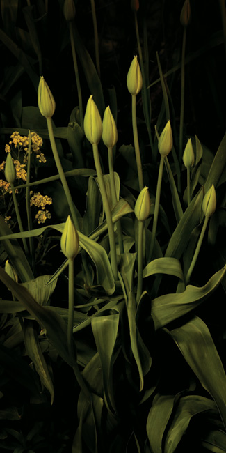 photography by Linda Rutenberg