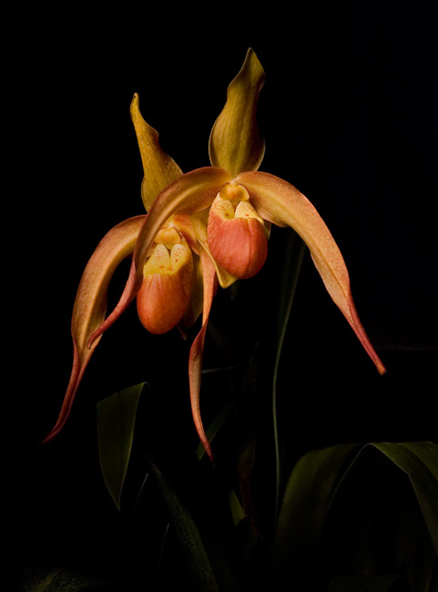 photography by Linda Rutenberg