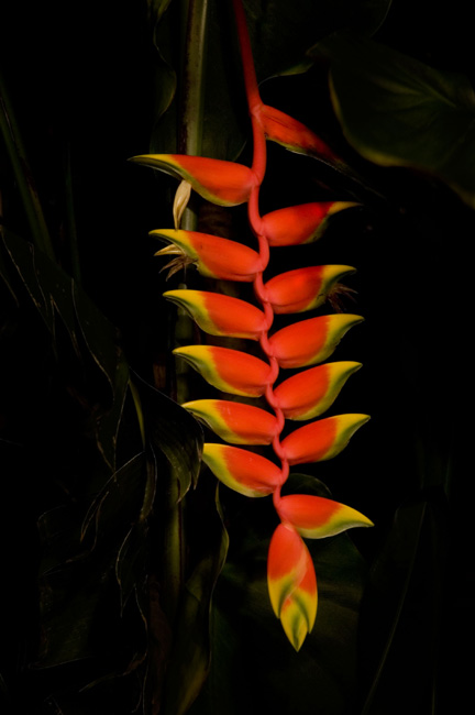 photography by Linda Rutenberg