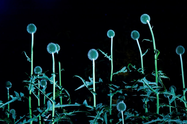 photography by Linda Rutenberg