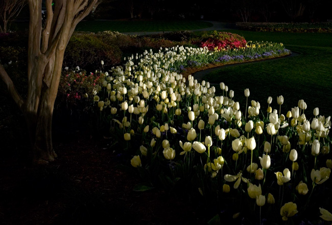 photography by Linda Rutenberg