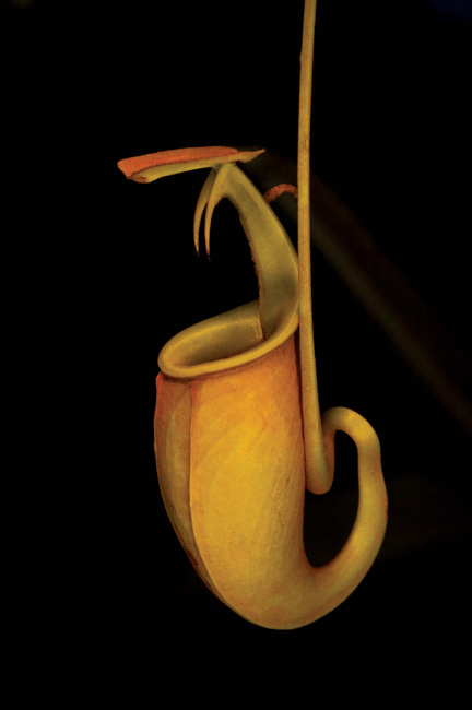 photography by Linda Rutenberg