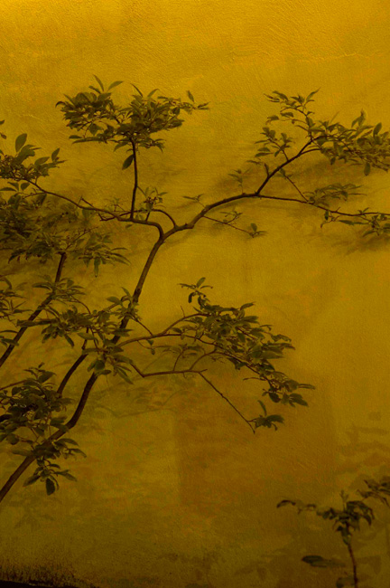 photography by Linda Rutenberg