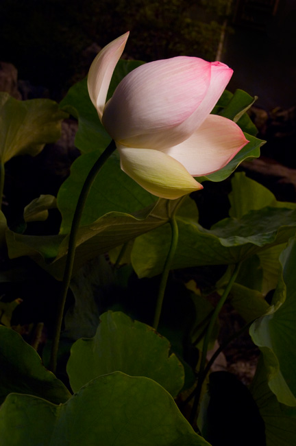 photography by Linda Rutenberg