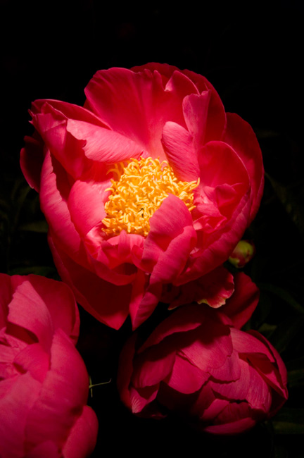 photography by Linda Rutenberg