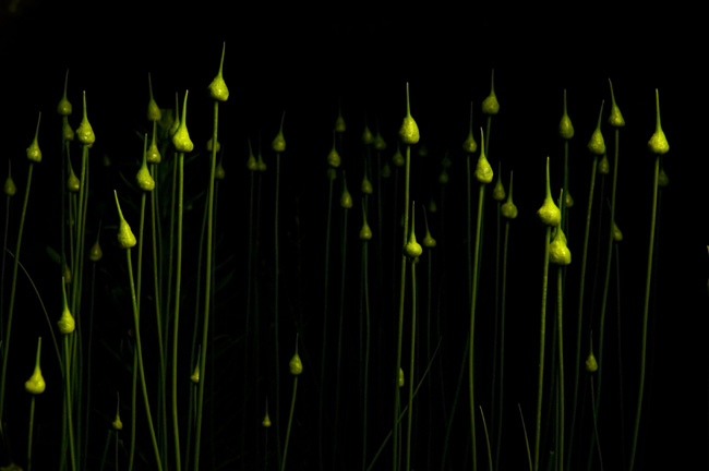 photography by Linda Rutenberg