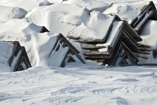 photography by Linda Rutenberg