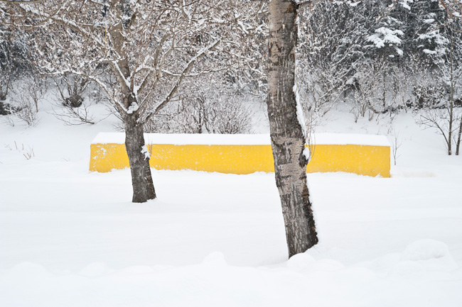 photography by Linda Rutenberg