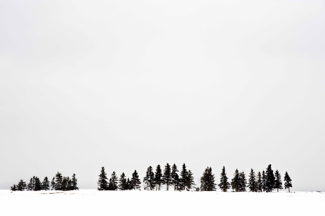 photography by Linda Rutenberg