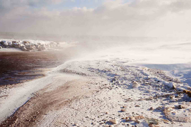 photography by Linda Rutenberg