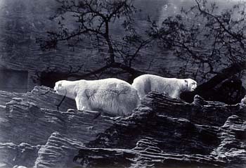 photography by Petra Ruzickova