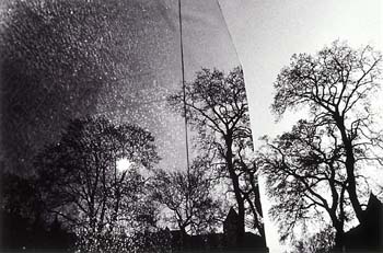 photography by Petra Ruzickova