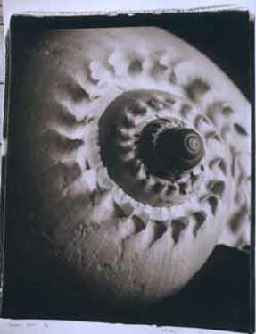 photography by Seamus Ryan