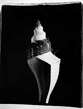 photography by Seamus Ryan