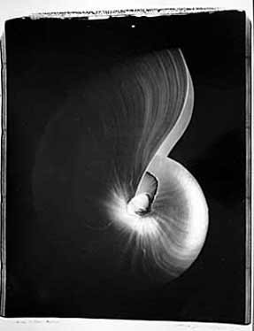 photography by Seamus Ryan