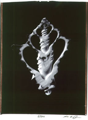 photography by Seamus Ryan