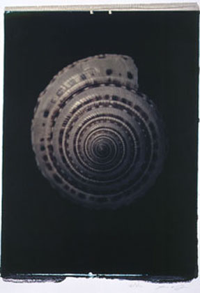 photography by Seamus Ryan