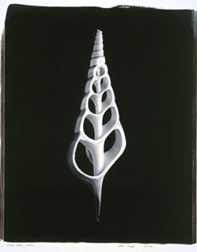 photography by Seamus Ryan