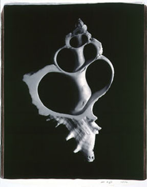 photography by Seamus Ryan