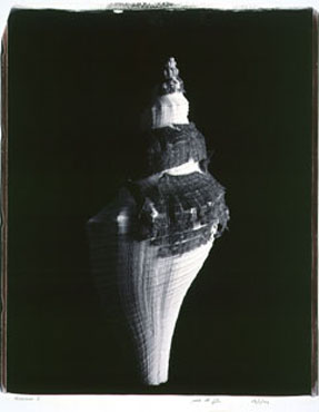 photography by Seamus Ryan