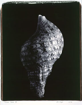 photography by Seamus Ryan