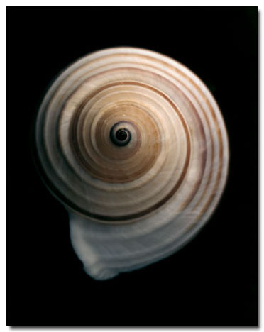 photography by Seamus Ryan