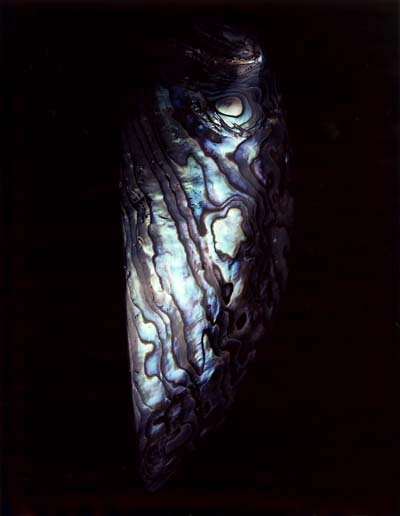 photography by Seamus Ryan