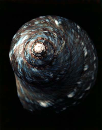 photography by Seamus Ryan