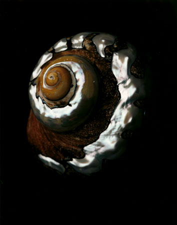 photography by Seamus Ryan