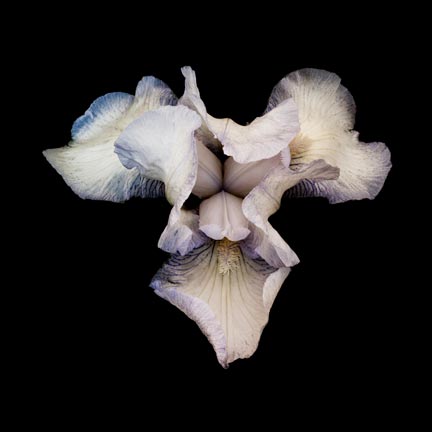 photography by Seamus Ryan