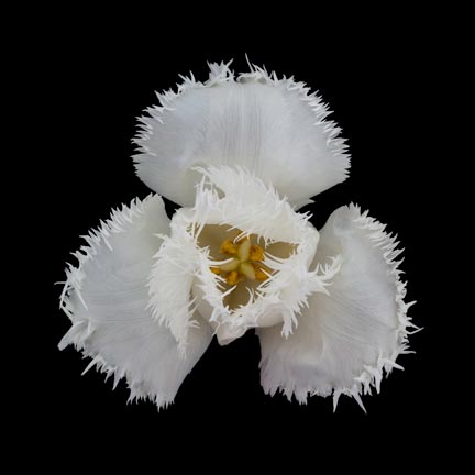 photography by Seamus Ryan