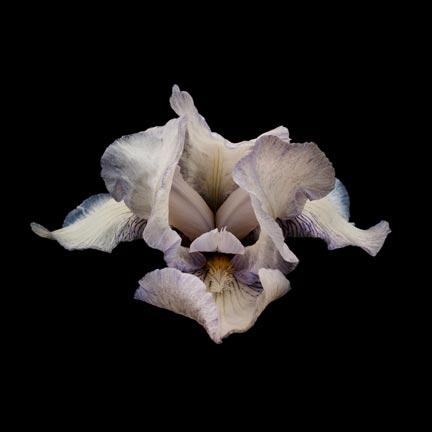 photography by Seamus Ryan