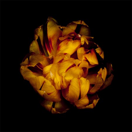 photography by Seamus Ryan