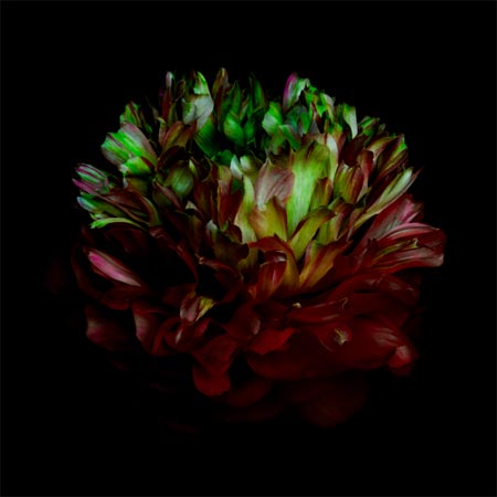 photography by Seamus Ryan