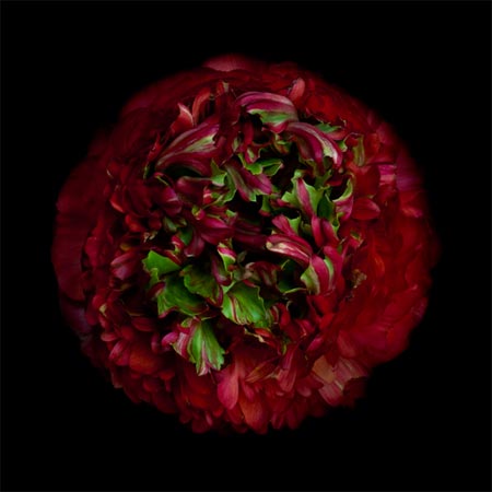 photography by Seamus Ryan